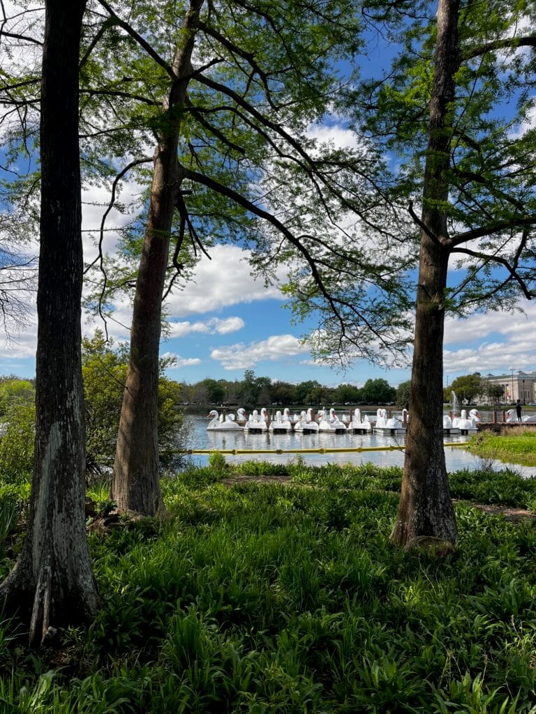 A shaded green landscape beside the water
