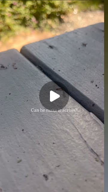 A worm moving through the grass in Samantha’s nature-inspired reel.